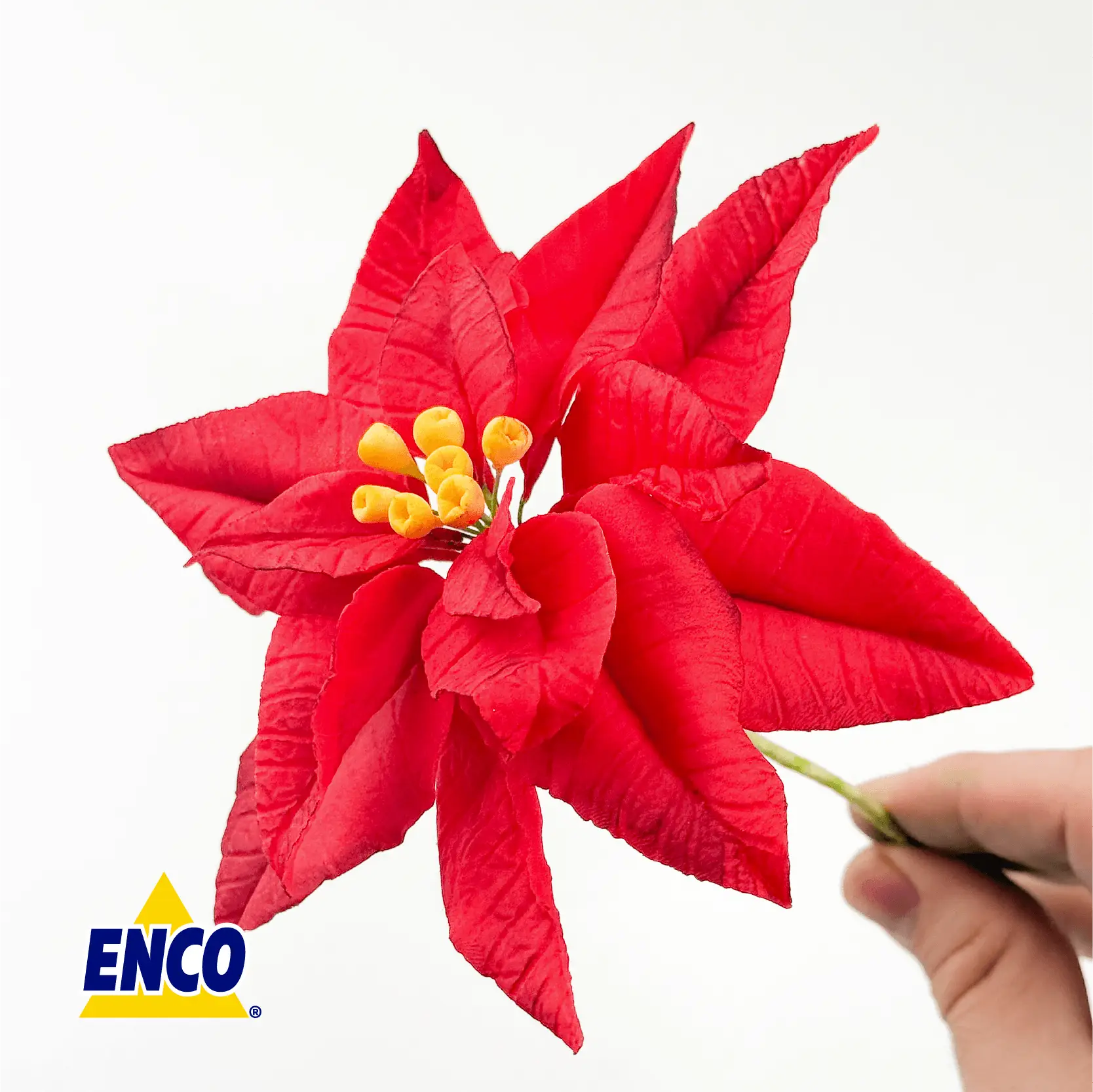 Nochebuena fondant 1