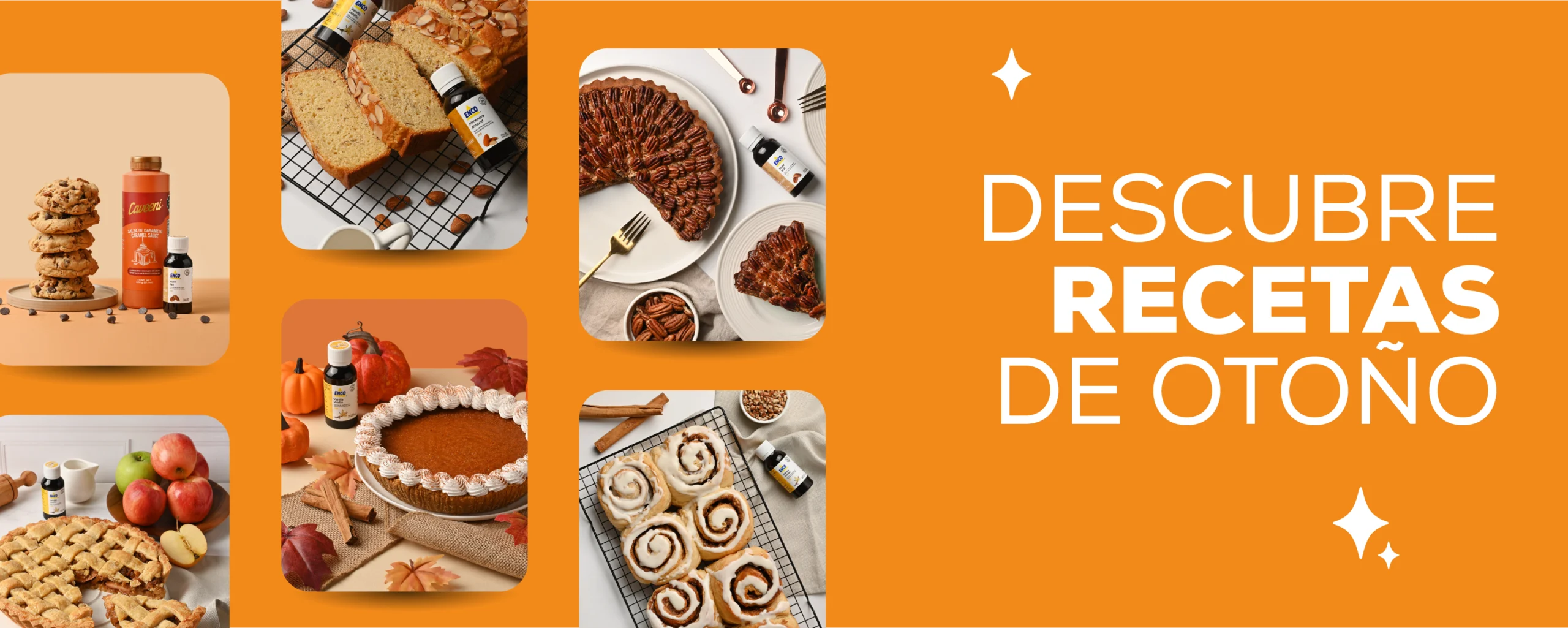 1banner recetas